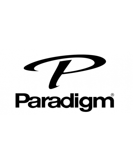 The History of Paradigm