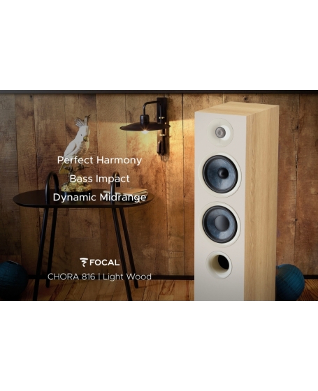 Focal Chora 816 Floorstanding Speaker Made In France