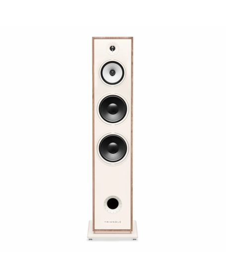 Triangle Borea BR10 Floorstanding Speaker