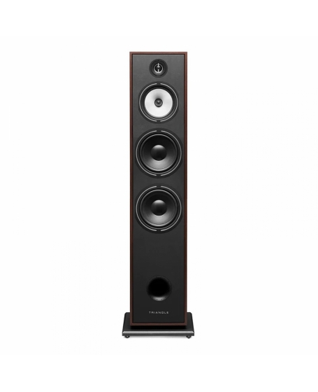 Triangle Borea BR10 Floorstanding Speaker