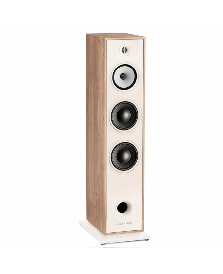 Triangle Borea BR10 Floorstanding Speaker