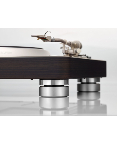 Denon DP-3000NE Premium Direct-Drive Turntable