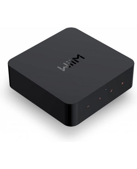WiiM Pro Wireless Audio Streamer (DU)