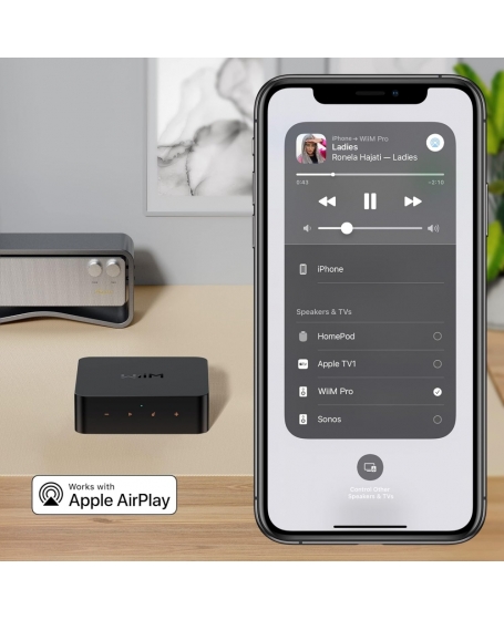 WiiM Pro Wireless Audio Streamer (DU)