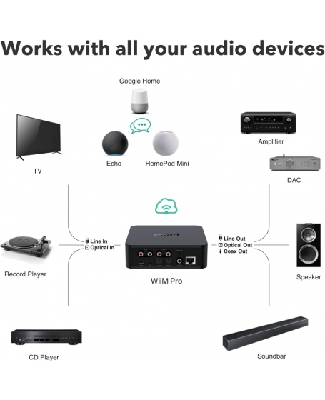 WiiM Pro Wireless Audio Streamer (DU)