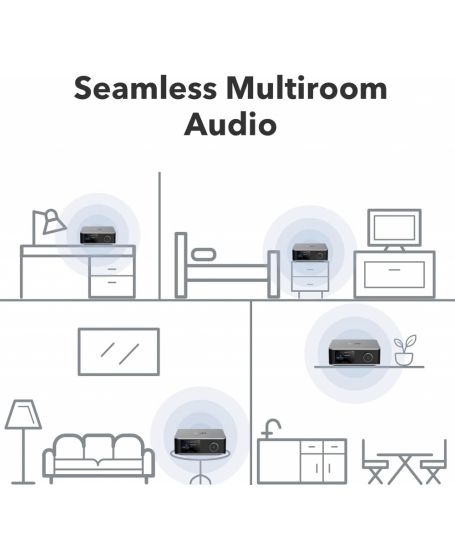 WiiM Ultra Wireless Music Streamer