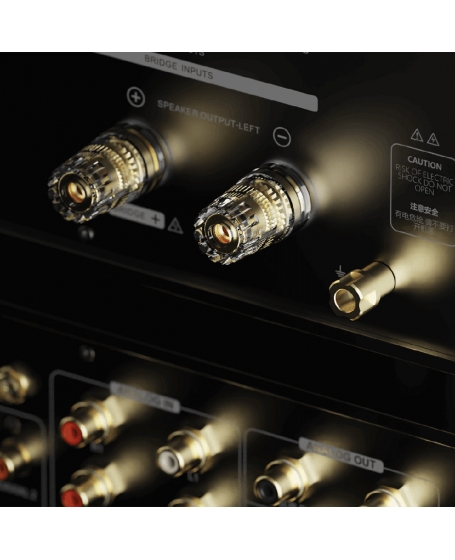 EverSolo AMP-F10 Power Amplifier