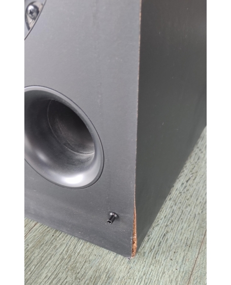 Pioneer S-MS3SW 12