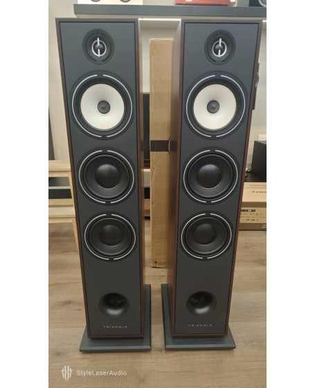 Triangle Borea BR08 Floorstanding Speaker (PL)