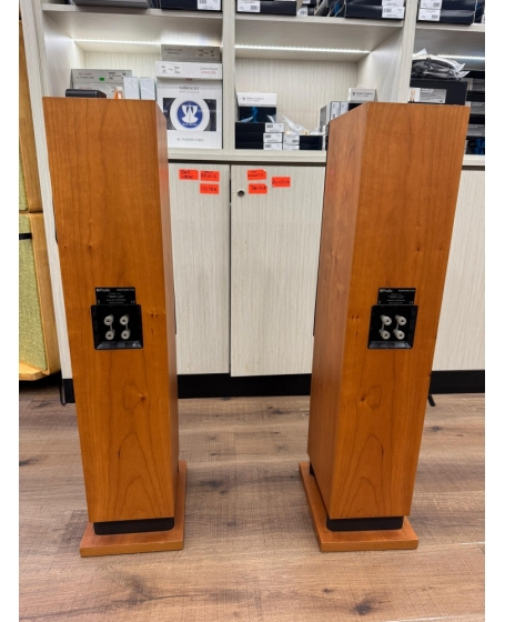 ProAc Response DT8 Floorstand Speaker Made In England (PL)