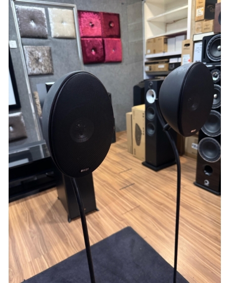 KEF E301 Satellite Speaker With Original Stand (PL)